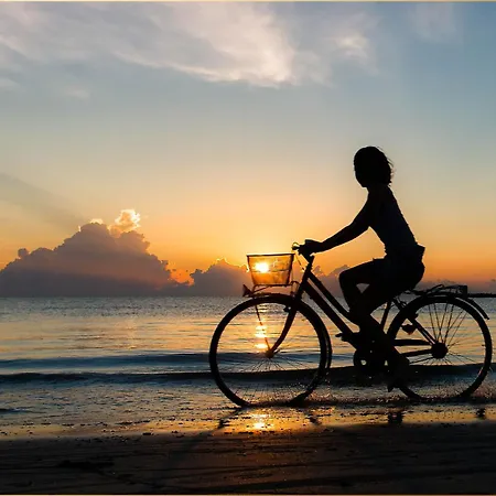 Waldstrasse 35 Gestrandet * Koserow